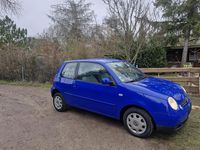 Używany VW Lupo 50 KM (36 kW) 2000 Niebieski Hatchback