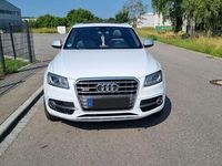 Gebraucht Audi SQ5 Sport 313 PS (230 kW) 2014 Weiß SUV