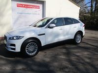 Gebraucht Jaguar F-Pace 300 PS (220 kW) 2017 Weiß SUV