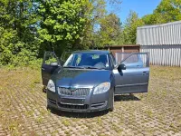 Gebraucht Skoda Fabia 60 PS (44 kW) 2010 Grau Kleinwagen