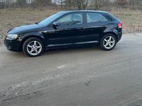 Gebraucht Audi A3 Ambiente 105 PS (77 kW) 2004 Schwarz Kleinwagen