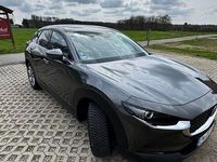 Gebraucht Mazda CX-30 Exclusive 150 PS (110 kW) 2024 Grau SUV