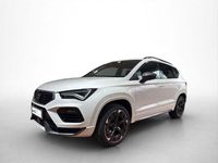 Usata Cupra Ateca 190 CV (139 kW) 2024 Bianco SUV