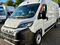 Neu Fiat Ducato 140 PS (102 kW) 2025 Weiß Van