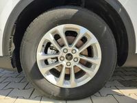 Neu Ford Kuga Titanium 151 PS (111 kW) 2025 Weiss SUV