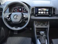 Gebraucht Skoda Karoq Style 150 PS (110 kW) 2023 Grau SUV