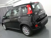 Usata Fiat Panda 69 CV (50 kW) 2023 Nero Utilitaria