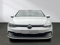 gebraucht VW Golf VIII United 1.0 TSI Navi CarPlay LED Kamera