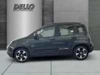 Neu Fiat Panda Cross Cross 69 PS (50 kW) 2026 Foresta grün Kleinwagen