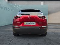Gebraucht Mazda MX30 Basis 106 kW (145 PS) 2022 Rot SUV