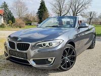 Gebraucht BMW 220 Advantage 190 PS (139 kW) 2015 Grau Cabrio
