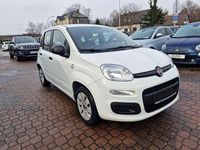 Gebraucht Fiat Panda 69 PS (50 kW) 2015 Gelato weiss Kleinwagen