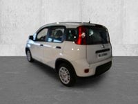 Neu Fiat Panda 69 PS (50 kW) 2025 Kleinwagen