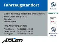 Gebraucht VW California California 150 PS (110 kW) 2024 Ascotgrau Van