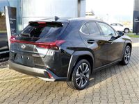 gebraucht Lexus UX 250h Style Edition MJ 2023 LED, Apple CP, Android Auto
