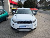Gebraucht Land Rover Range Rover evoque Pure 190 PS (139 kW) 2012 Weiß SUV