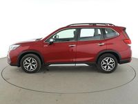 Gebraucht Subaru Forester Trend 150 PS (110 kW) 2020 Rot SUV