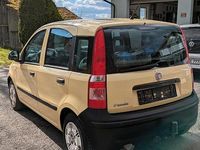 Gebraucht Fiat Panda Active 54 PS (39 kW) 2009 Beige Kleinwagen