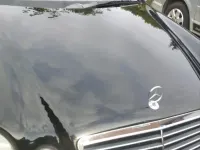 Gebraucht Mercedes SLK200 2001 Schwarz Cabrio