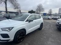 Gebraucht Cupra Ateca 150 PS (110 kW) 2024 Weiß SUV