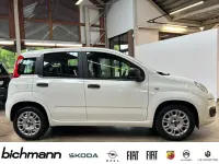 Gebraucht Fiat Panda 69 PS (50 kW) 2021 Weiß Kleinwagen
