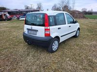 Gebraucht Fiat Panda 55 PS (40 kW) 2009 Weiß Kleinwagen