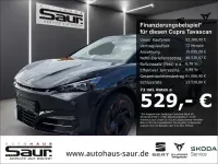Gebraucht Cupra Tavascan Endurance 210 kW (286 PS) 2024 Uranograu SUV
