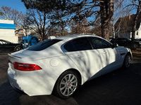 Używany Jaguar XE 180 KM (132 kW) 2016 Biały Sedan/Limuzyna