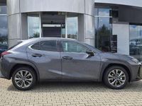 Neu Lexus UX 300h Sport Design Packet 199 PS (146 kW) 2026 Obsidiangrau SUV