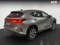 Gebraucht Lexus NX350h Executive Line 243 PS (178 kW) 2024 Titaniumsilber SUV