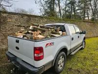 Gebraucht Ford F-150 305 PS (224 kW) 2004 Weiß Pickup