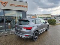 Neu Cupra Ateca 190 PS (139 kW) 2026 Grau SUV