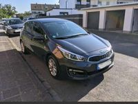 Gebraucht Kia Ceed Edition 7 99 PS (72 kW) 2016 Grau Kleinwagen