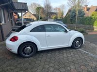 gebraucht VW Beetle 1.2 TSI -