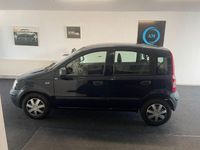 Gebraucht Fiat Panda Active 54 PS (39 kW) 2010 Blu lancia/suggestivo/fontana Kleinwagen