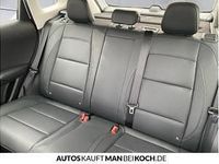 Neu MG ZS Luxury 197 PS (144 kW) 2026 Grün SUV