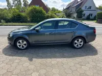 Gebraucht Skoda Octavia Style 116 PS (85 kW) 2019 Grau Limousine