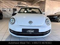 Gebraucht VW Beetle Cabriolet Design 140 PS (102 kW) 2014 Weiß Cabrio