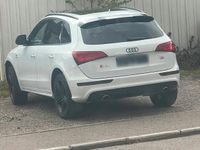 Gebraucht Audi SQ5 S-Line 325 PS (239 kW) 2014 Weiß SUV