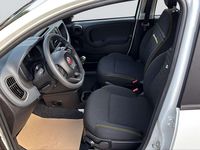 Gebraucht Fiat Panda 69 PS (50 kW) 2024 Weiß Limousine