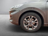 gebraucht Ford Kuga Hybrid ST-Line X 2.0 EcoBlue HUD Navi B&O LED Kurvenlicht Apple CarPlay
