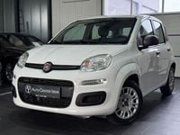 Gebraucht Fiat Panda Easy 69 PS (50 kW) 2017 Weiß Kleinwagen