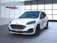 Gebraucht Ford Kuga ST-Line X 190 PS (139 kW) 2024 Weiß (weiß) SUV