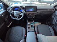 Nowe Ford Kuga ST-Line 242 KM (177 kW) 2025 Niebieski SUV