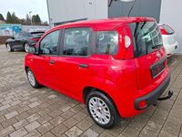 Gebraucht Fiat Panda Easy 69 PS (50 kW) 2017 Colore esterno (bartolini rot) Kleinwagen