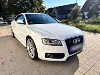 gebraucht Audi A5 3.0 TDI (DPF) quattro -