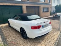 gebraucht Audi A5 Cabriolet A5 2.0 TDI DPF (clean diesel) quattro