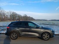 Gebraucht Ford Kuga ST-Line 224 PS (164 kW) 2024 Grau SUV