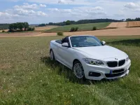 Gebraucht BMW 220 Shadowline 190 PS (139 kW) 2016 Weiß Cabrio