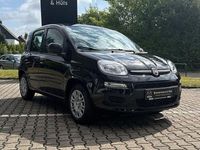 Neu Fiat Panda 69 PS (50 kW) 2025 Cinema schwarz Kleinwagen